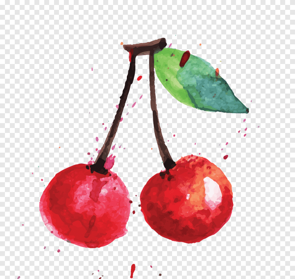 Вишенка акварель