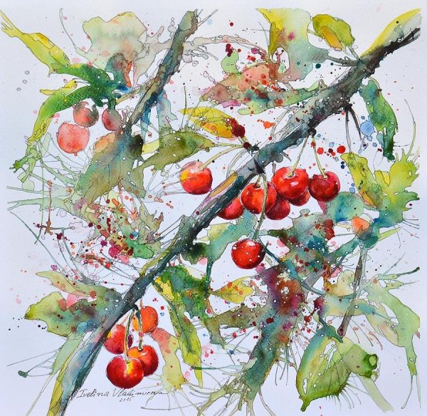 Вишня акварелью