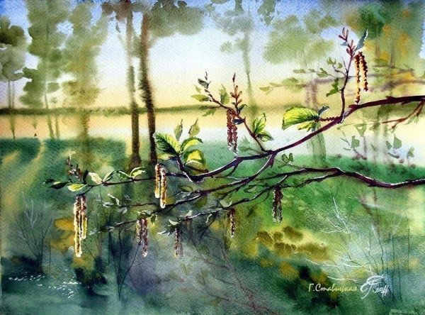 Художник Галина Ставицкая акварели картины