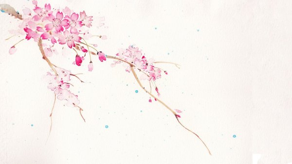 Акварельные ветки Сакуры