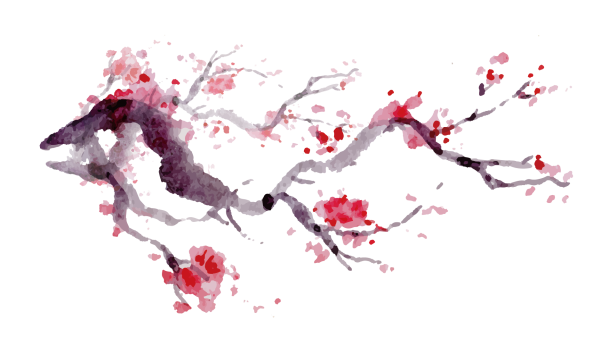 Веточка Сакуры акварелью