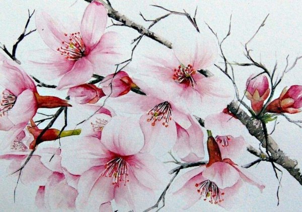 Художник Marie-Claire Houmeau Япония