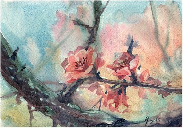 Ветка Сакуры акварель