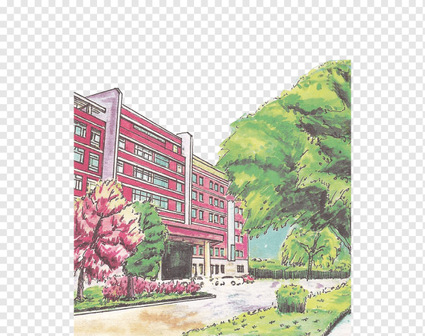 Натюрморт школьные принадлежности