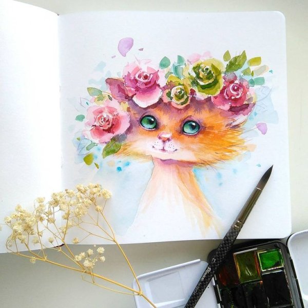 Иллюстратор Евгения Соловьева