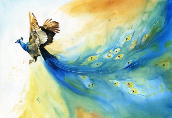 Сказочная птица в полете