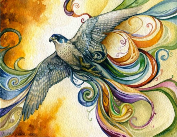 Таджикская птица кахна иллюстрации