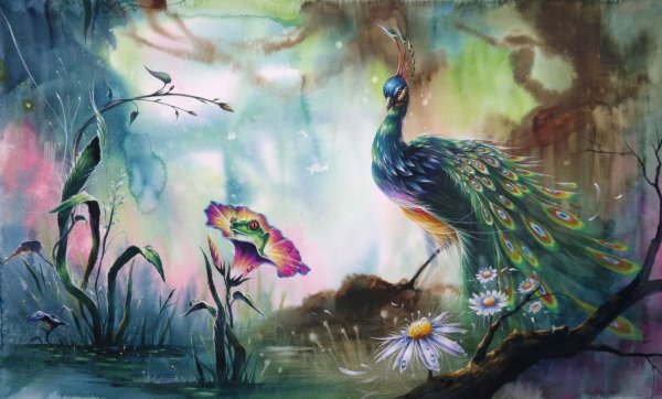 Зазака Намоо