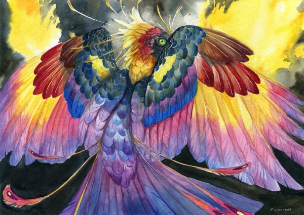 Фантастические, сказочные птицы.