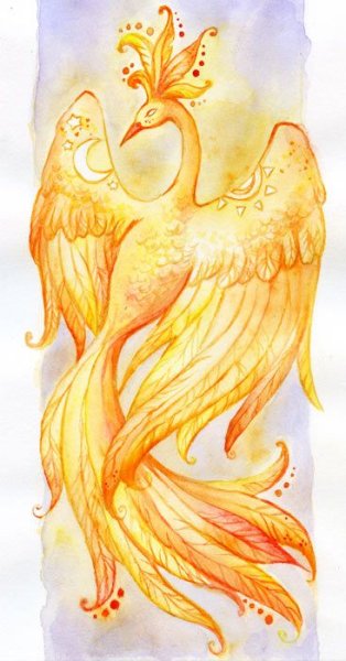 Жар птица рисунок