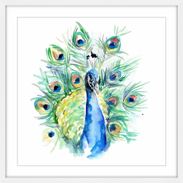 Павлин акварелью