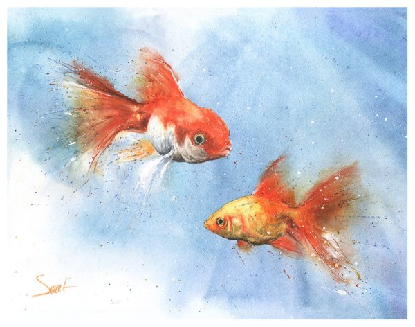 Золотая рыбка акварель