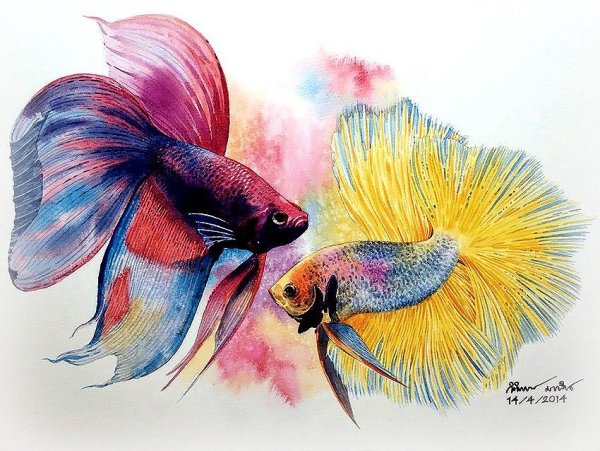 Kitipong_Maksin_artist рыбки