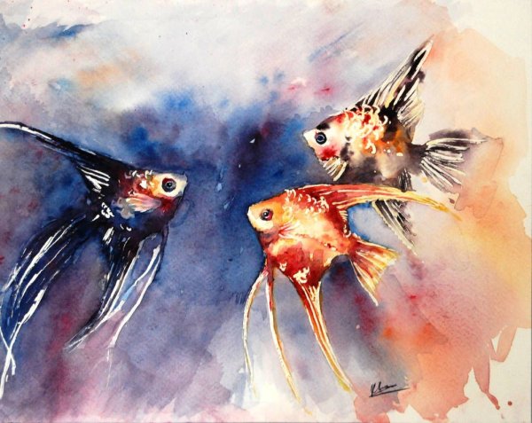 Аквариумные рыбки акварелью