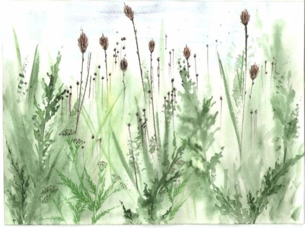 Трава акварель
