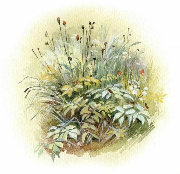 Художник Алия Нуракишева