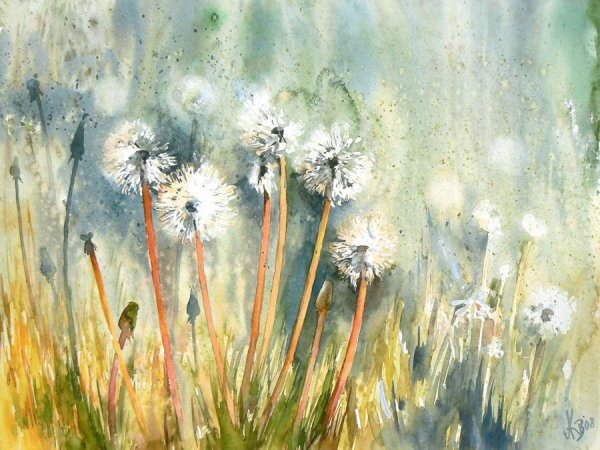 Mashami акварель