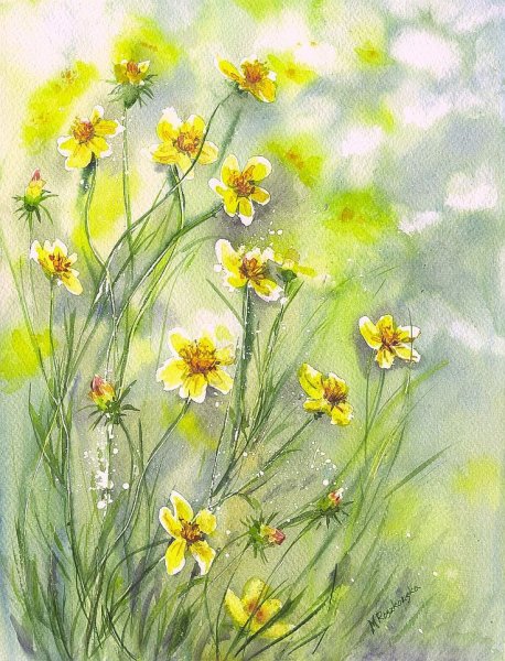 Maria Roszkowska Watercolor акварель цветы