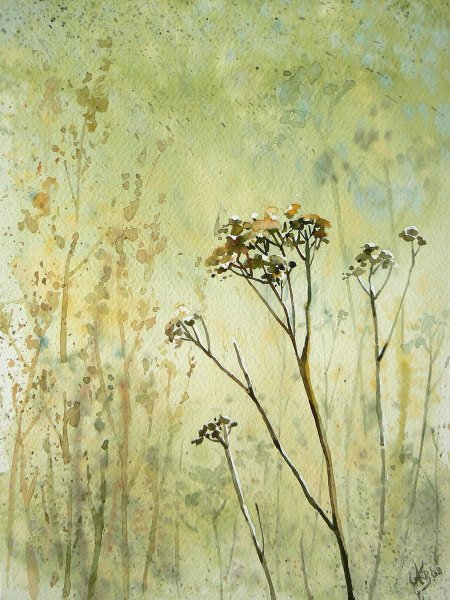 Mashami акварель