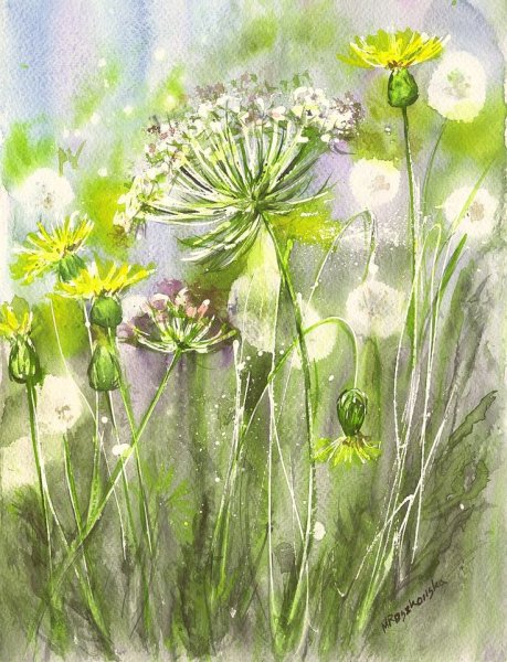 Maria Roszkowska Watercolor акварель цветы