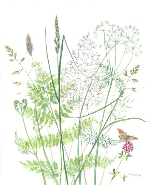 Трава рисунок