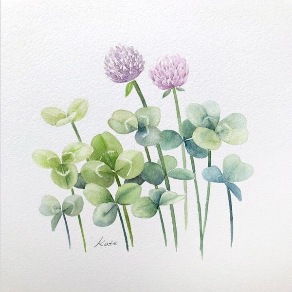 Клевер референс