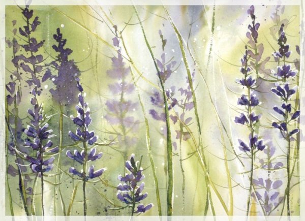 Полевые травы акварель