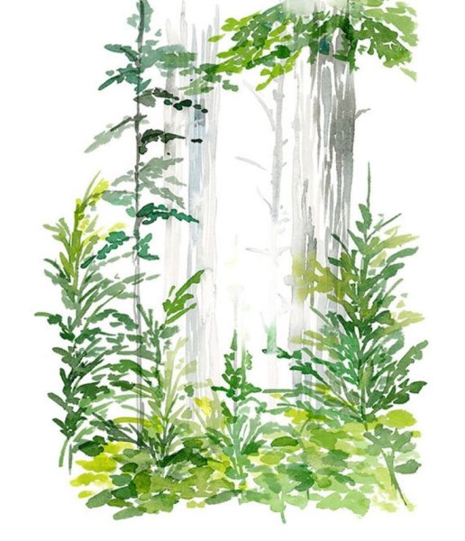 Рисование зелень акварелью