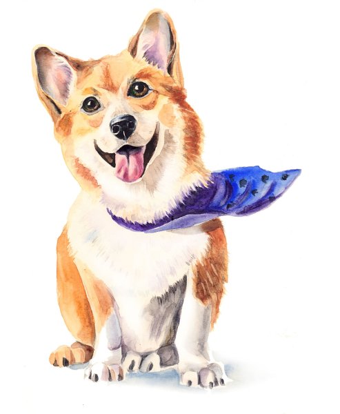 Вельш корги пемброк арт