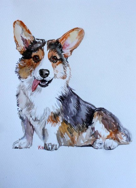 Вельш корги маркерами