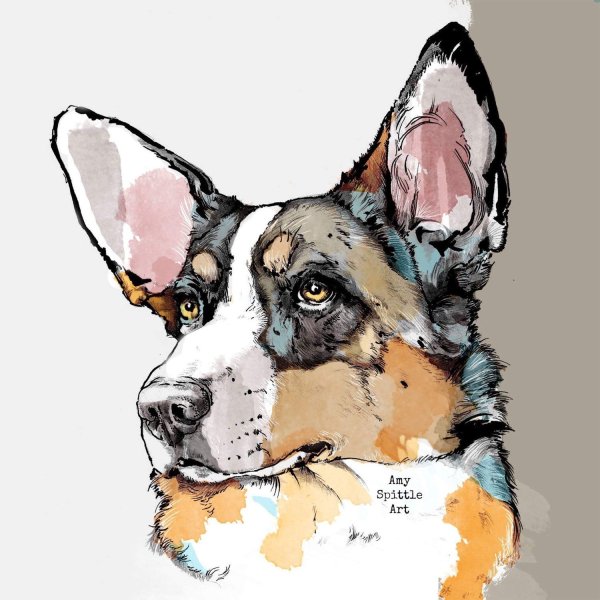 Вельш корги пемброк арт