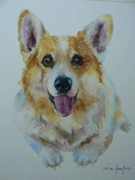 Корги акварелью