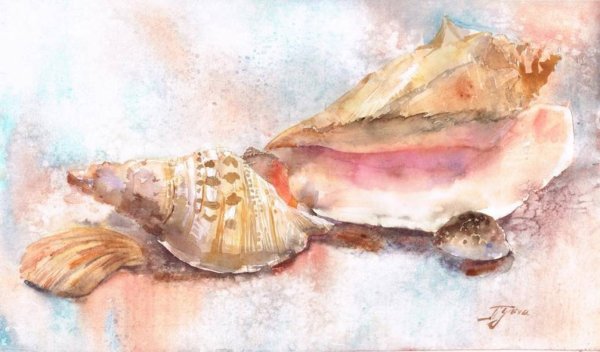 Ракушки океан акварель