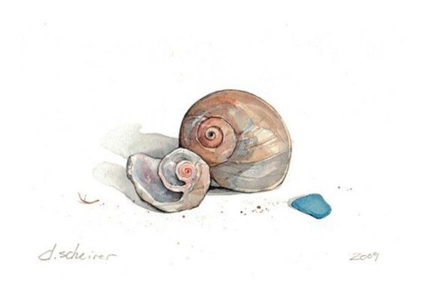 Раковина Жемчужина море живописи