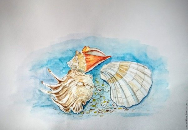 Ракушка гуашью