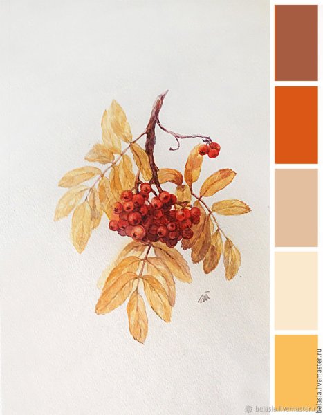 Гроздь рябины акварель