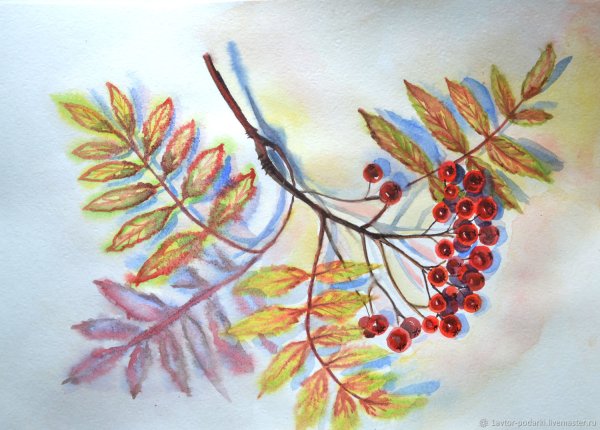Нетрадиционное рисование рябина