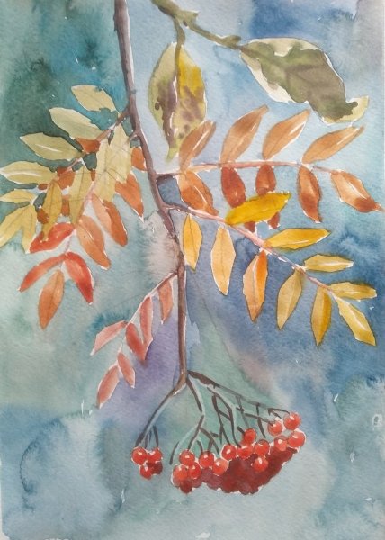 Рябинка живопись Этюд