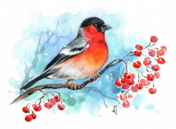 Рябина в снегу гуашью