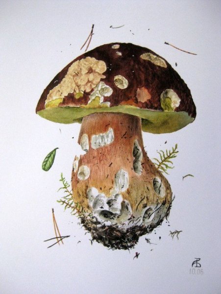 Нарисовать дом гриб