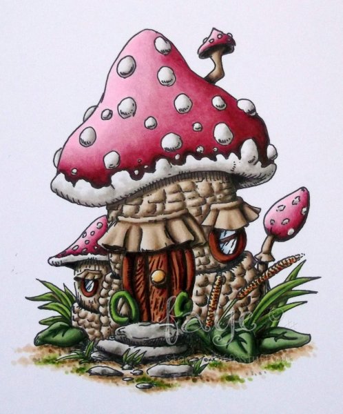 Грибы иллюстрации Акварельные