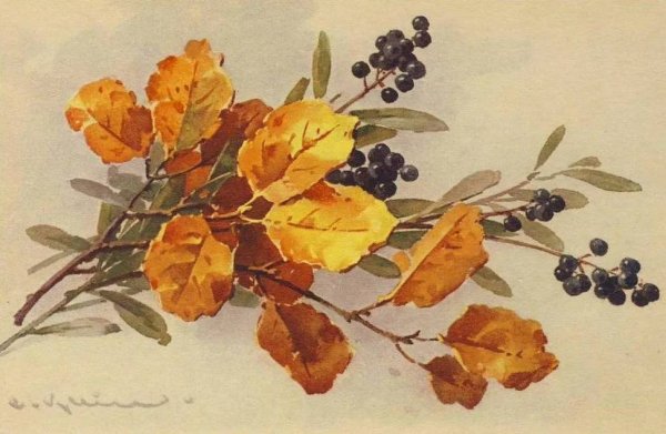 Катарина Кляйн листья