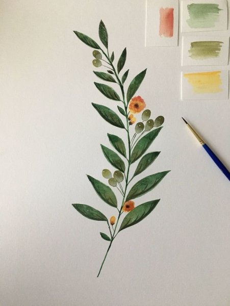 Веточки акварель