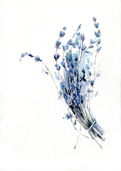 Акварельные веточки