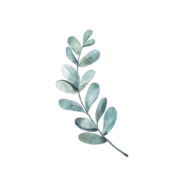 Акварельные ветки