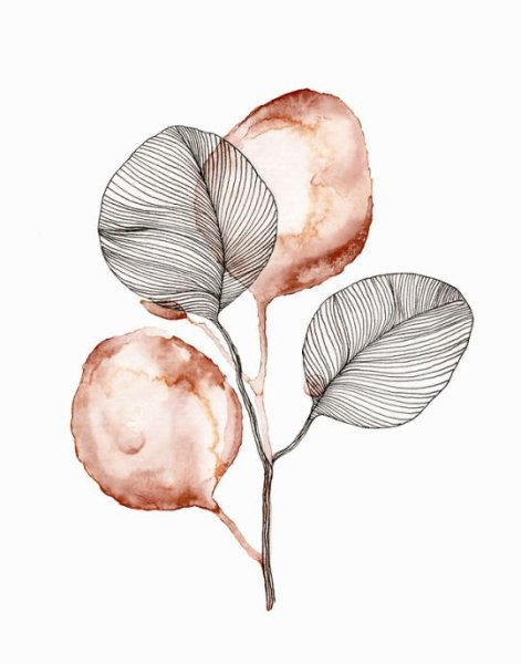 Веточки акварель