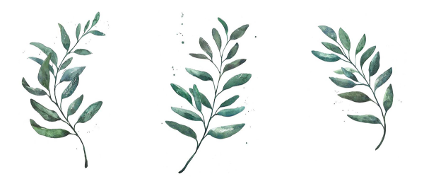 Ветка с листьями