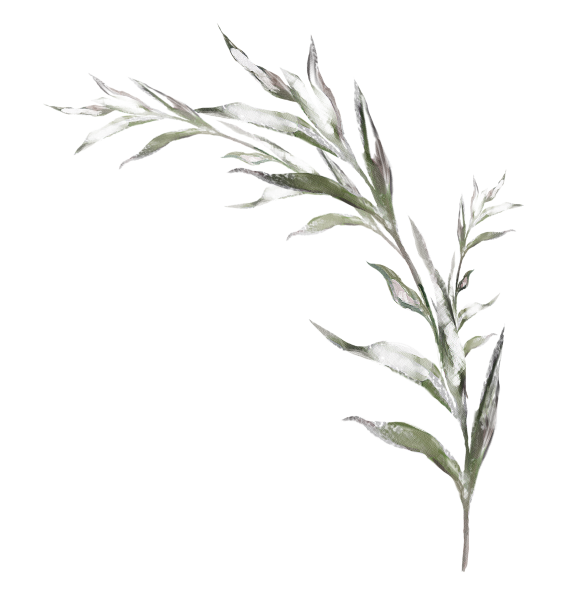 Травинки акварелью