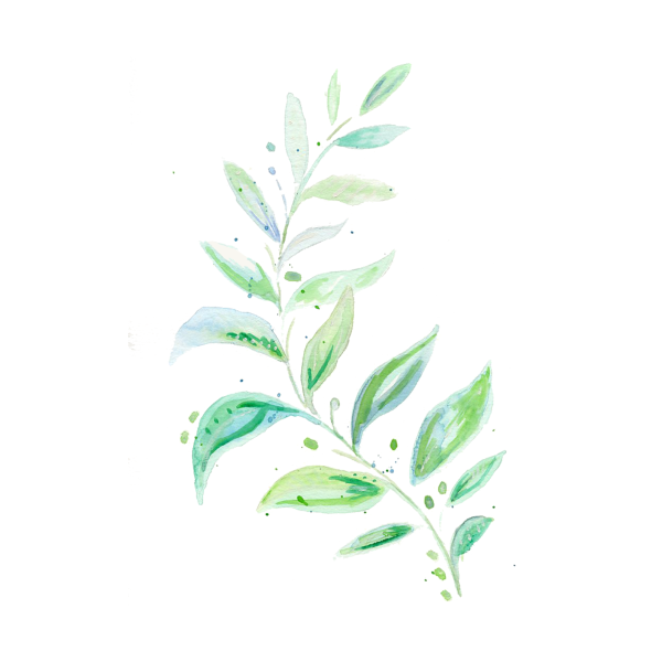 Зеленые листья акварель
