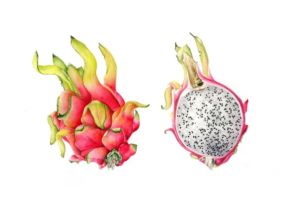 Драконий фрукт в разрезе